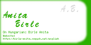 anita birle business card